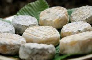 fromage de chevre le pelardon