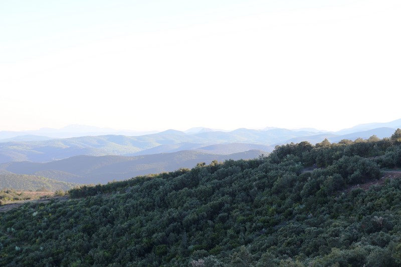 vue mont Aigoual